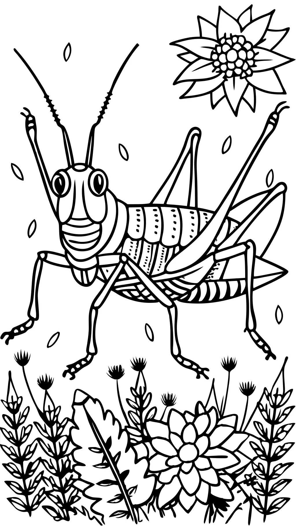 grasshopper coloring page